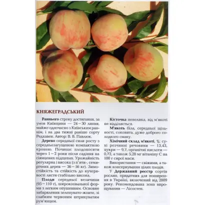 Княжеградський