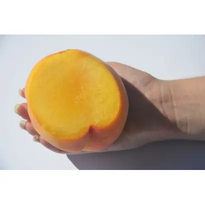 Мостиський діамант