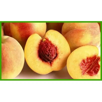 Золотой юбилей / Золотий ювілей