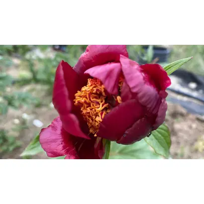 Героям Небесної Сотні