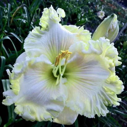 Модний Вирок