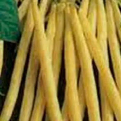 Carson / Карсон