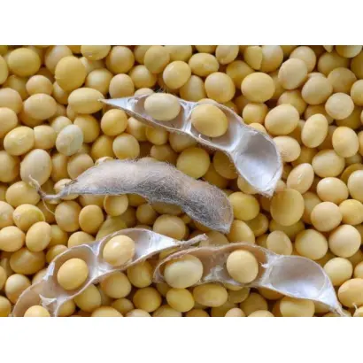 Apollo / Аполло