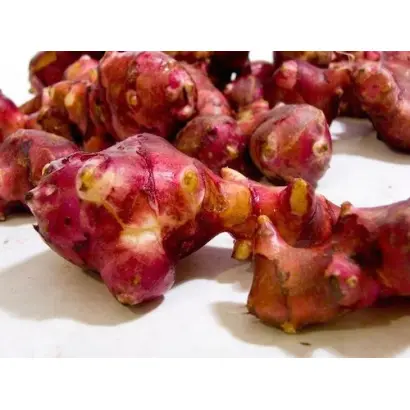 Фіолет київський