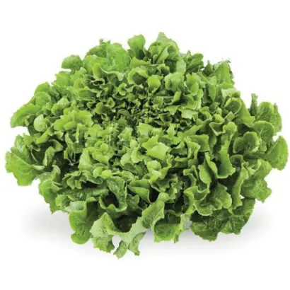 Anconi / Анконі