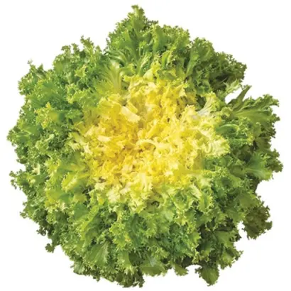 Domari / Домарі