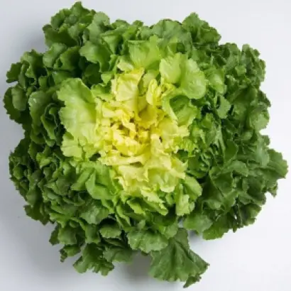 Parmance / Парманс