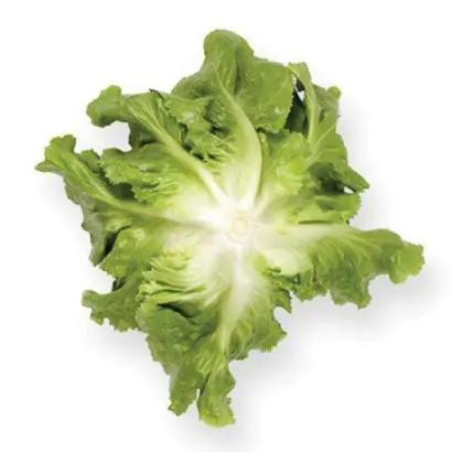 Seychel / Сейшел