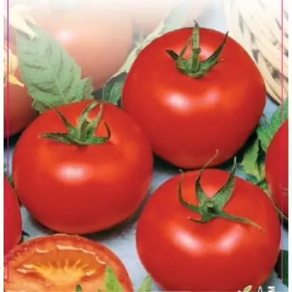 ВОЛГОГРАДСКИЙ 5/95