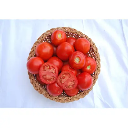 НОВИНКА КУБАНИ