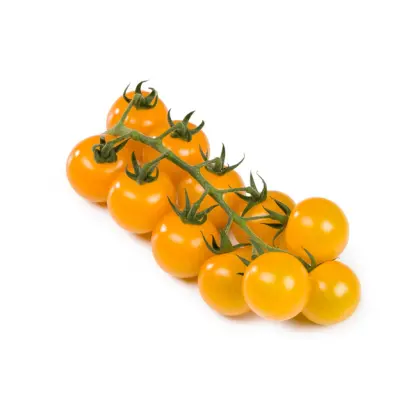 ТОМАДЖЕЛЛО