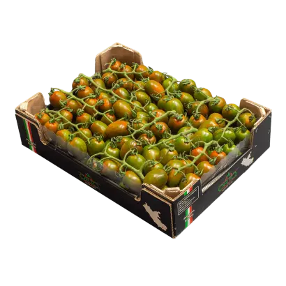 ФОНДАНЕЛЛО