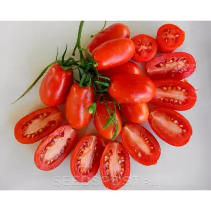 ГРОЗДЕВЫЕ КРАСНЫЕ