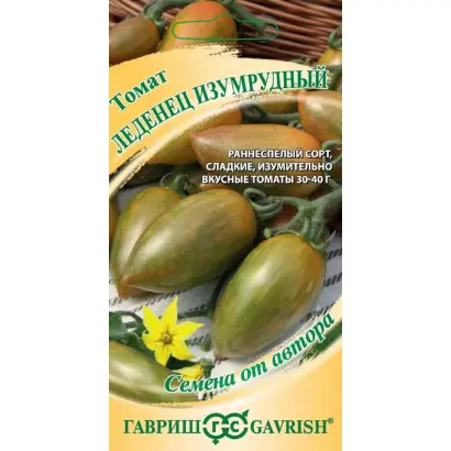 ЛЕДЕНЕЦ ИЗУМРУДНЫЙ