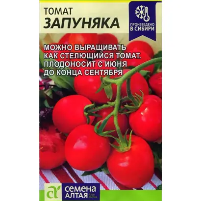 НИЗКОРОСЛЫЙ ЗАПУНЯКА