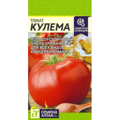 КУЛЕМА АЛТАЙСКАЯ