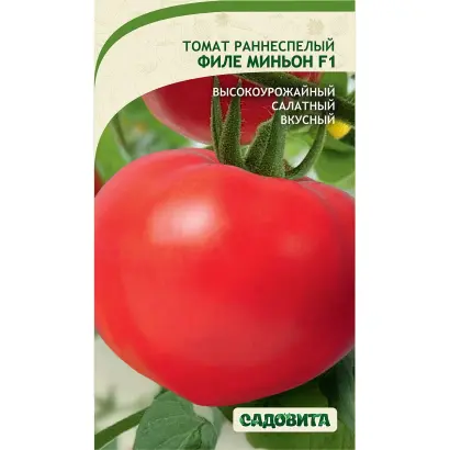 ФИЛЕ МИНЬОН