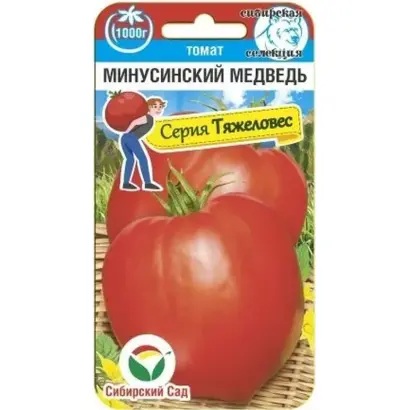 МИНУСИНСКИЙ МЕДВЕДЬ