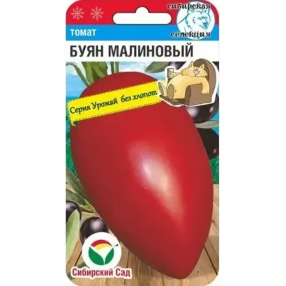 БУЯН МАЛИНОВЫЙ