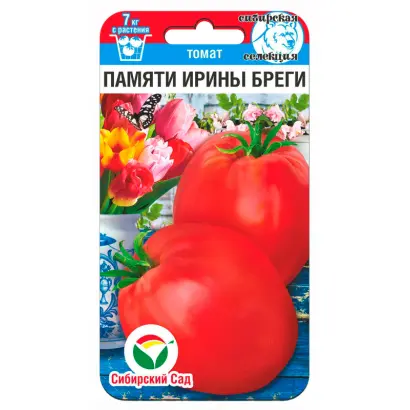 ПАМЯТИ ИРИНЫ БРЕГИ