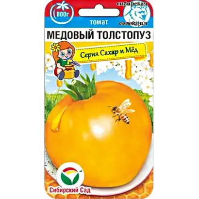 МЕДОВЫЙ ТОЛСТОПУЗ