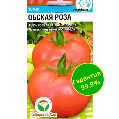 ОБСКАЯ РОЗА