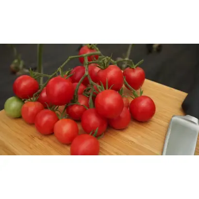 ФОРМУЛА ЛЮБВИ