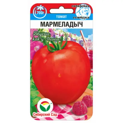 МАРМЕЛАДЫЧ