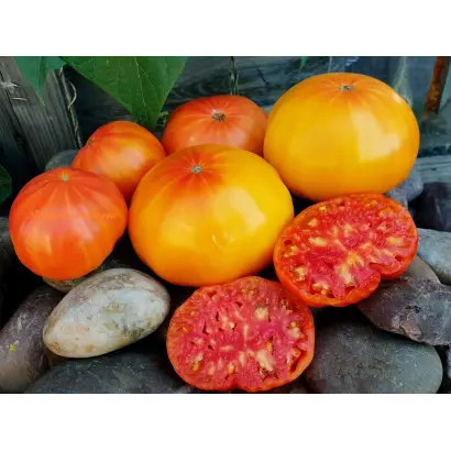 АНАНАСОВЫЙ КОРОЛЬ