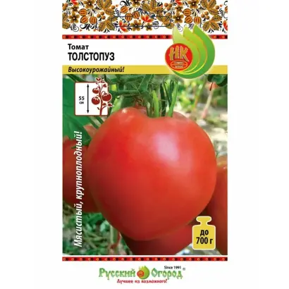 ТОЛСТОПУЗИКИ