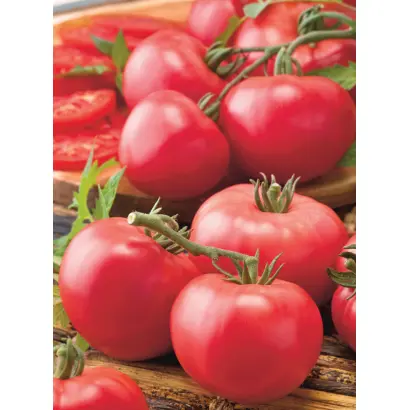 МАЛИНОВЫЙ СОРБЕТ