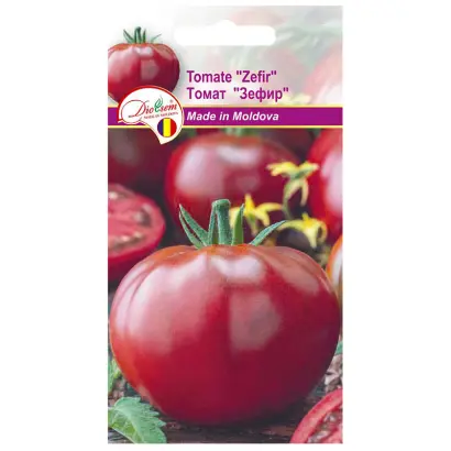 ЗЕФИР