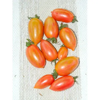 ПОМ СВИТ КАНДИ