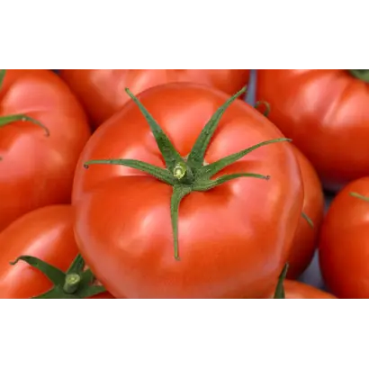 ЭКСТРАДЕНА