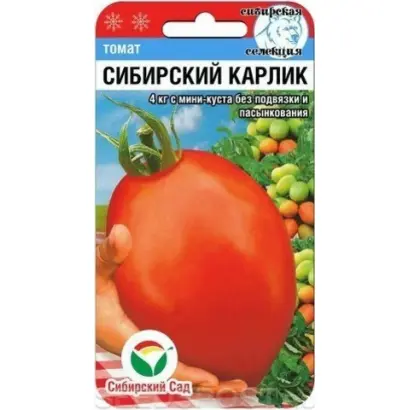 СИБИРСКИЙ КАРЛИК
