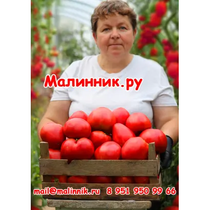 СЕРДЦЕ МИНУСИНСКА