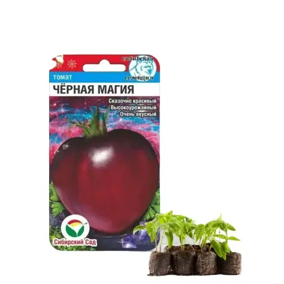 ЧЕРНАЯ МАГИЯ