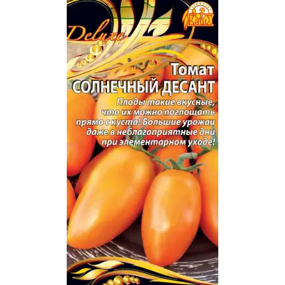 СОЛНЕЧНЫЙ ДЕСАНТ