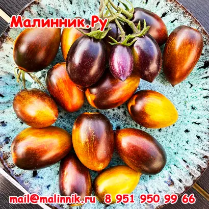 АТОМНЫЙ БРЕДА