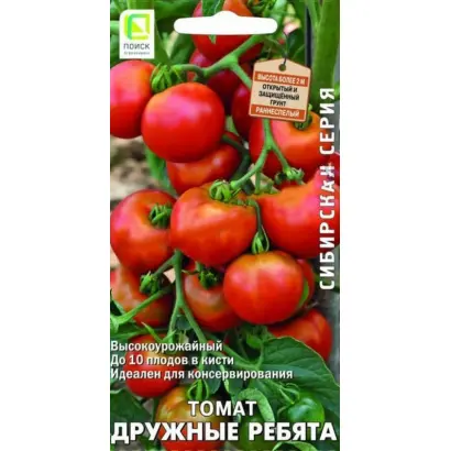 ДРУЖНЫЕ РЕБЯТА