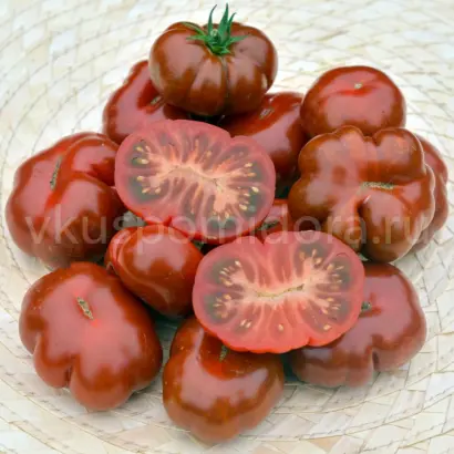 ЧОКОЛАТИНИ