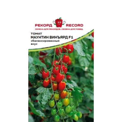 МАУНТИН ВИНЪЯРД