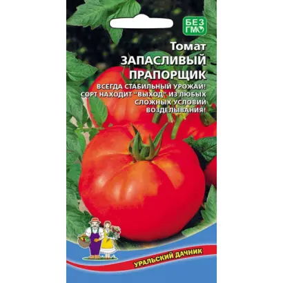 ЗАПАСЛИВЫЙ ПРАПОРЩИК