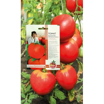 ШАЛЬНАЯ ИМПЕРАТРИЦА