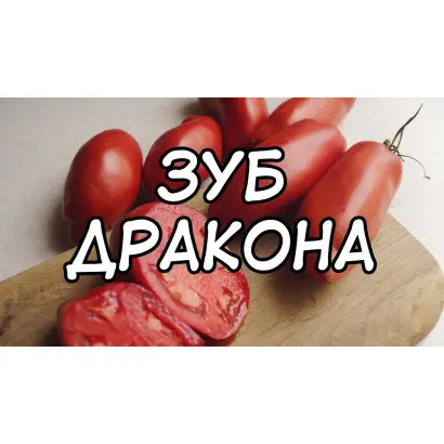 КЛЫК ДРАКОНА