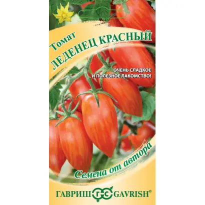 ЛЕДЕНЕЦ ЯНТАРНЫЙ