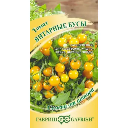 ЯНТАРНЫЕ БУСЫ