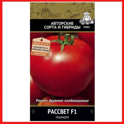 КУБАНСКИЙ РАССВЕТ