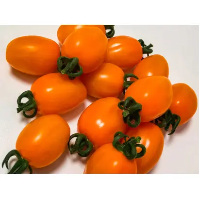 САНТИ НАРАНЬЯ