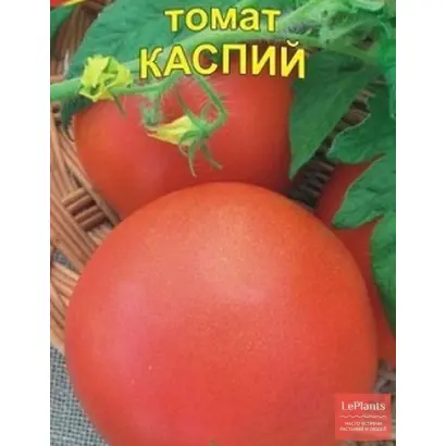 КАСПИЙ